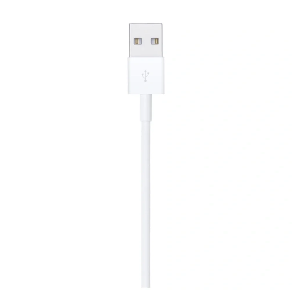 Lightning to USB Cable (1 m)